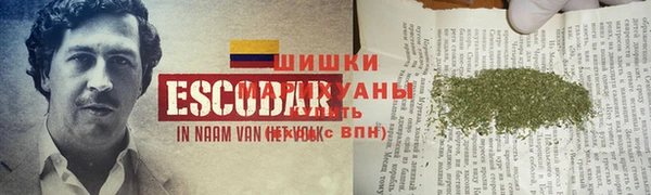 гидра Новозыбков