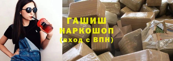 индика Новокубанск