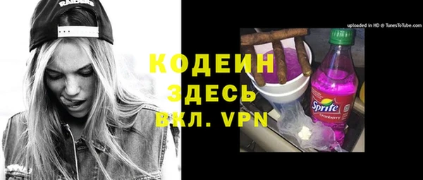 индика Новокубанск