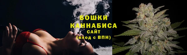 индика Новокубанск