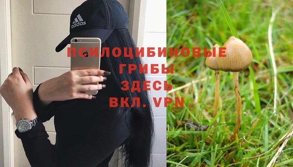 герыч Алексин
