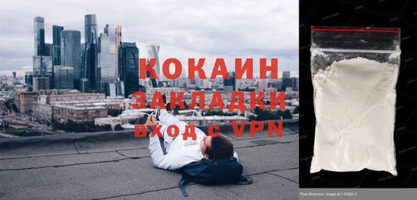 индика Новокубанск