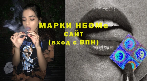 твердый Новодвинск